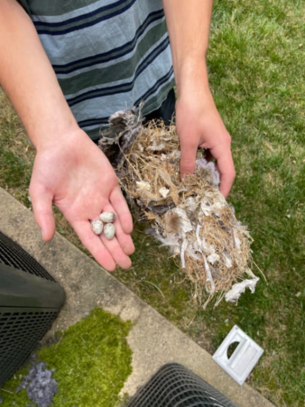Klean Ventz Dryer Vent Cleaning & Installation